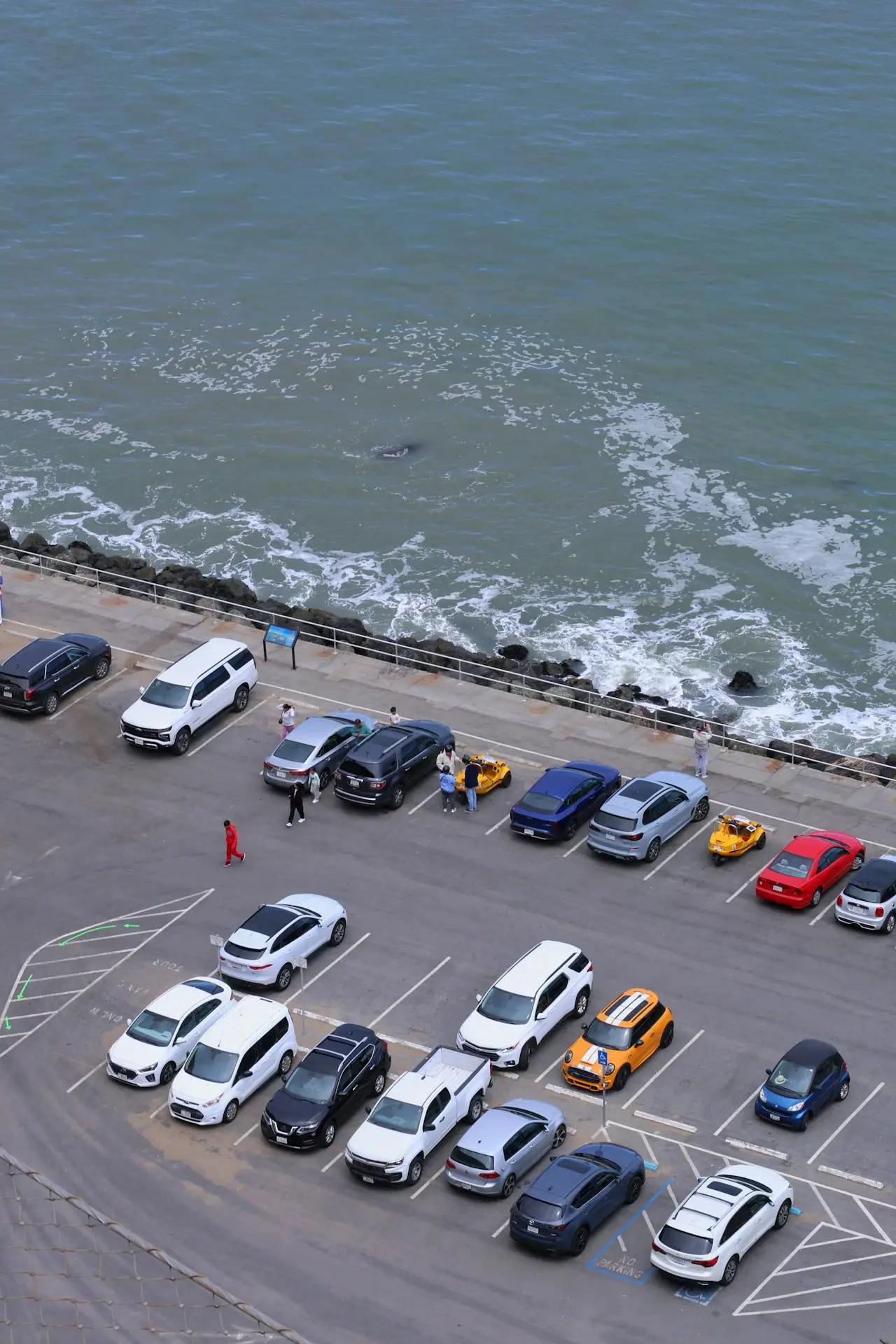 pexels jesschen 33174768